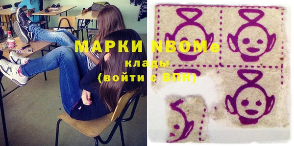 шишки Новозыбков