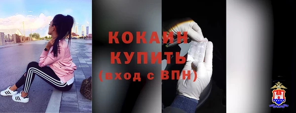 шишки Новозыбков