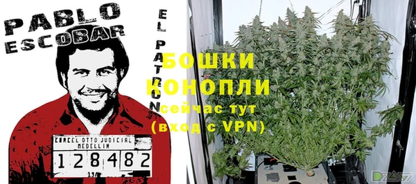 шишки Новозыбков