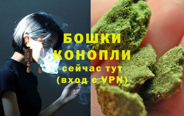 mdpv Новодвинск