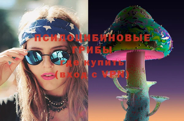 шишки Новозыбков