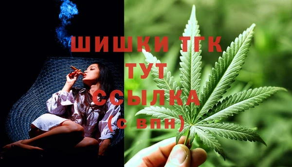 mdpv Новодвинск