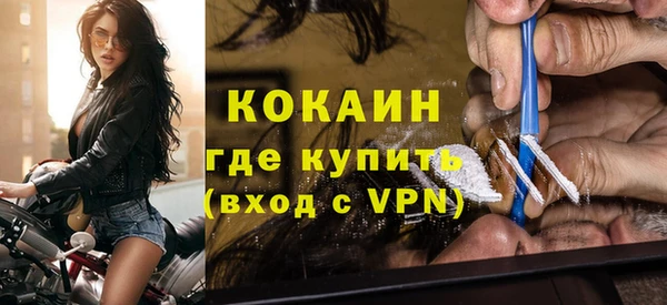 шишки Новозыбков