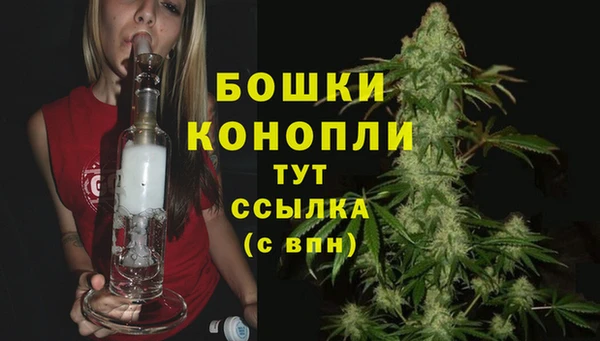 mdpv Новодвинск
