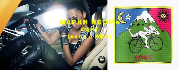 шишки Новозыбков