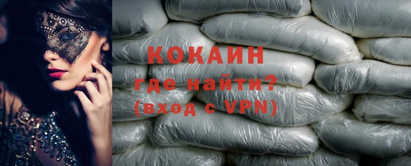 шишки Новозыбков