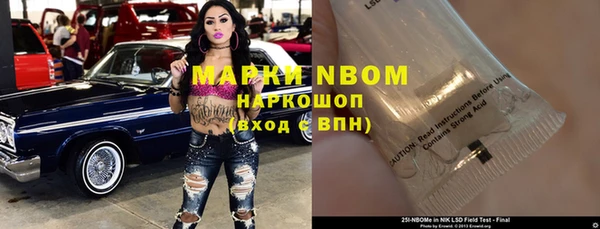 шишки Новозыбков