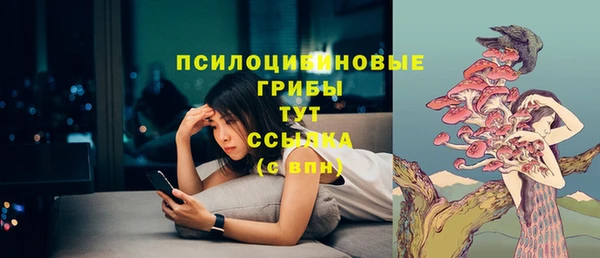 шишки Новозыбков