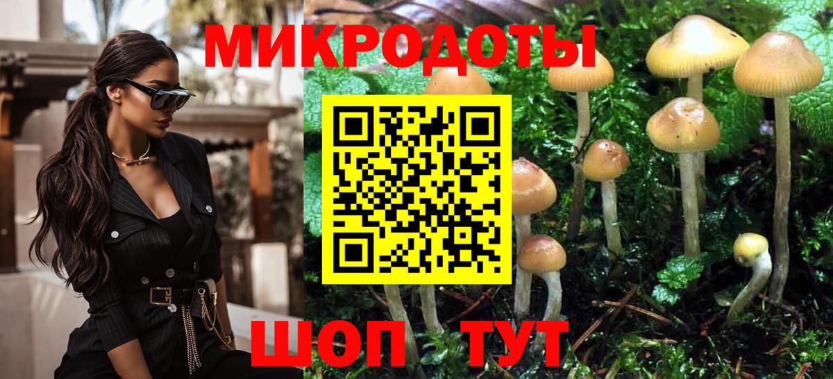 Псилоцибиновые грибы Cubensis  Вход с VPN  Отрадное  Псилоцибиновые грибы Psilocybe 